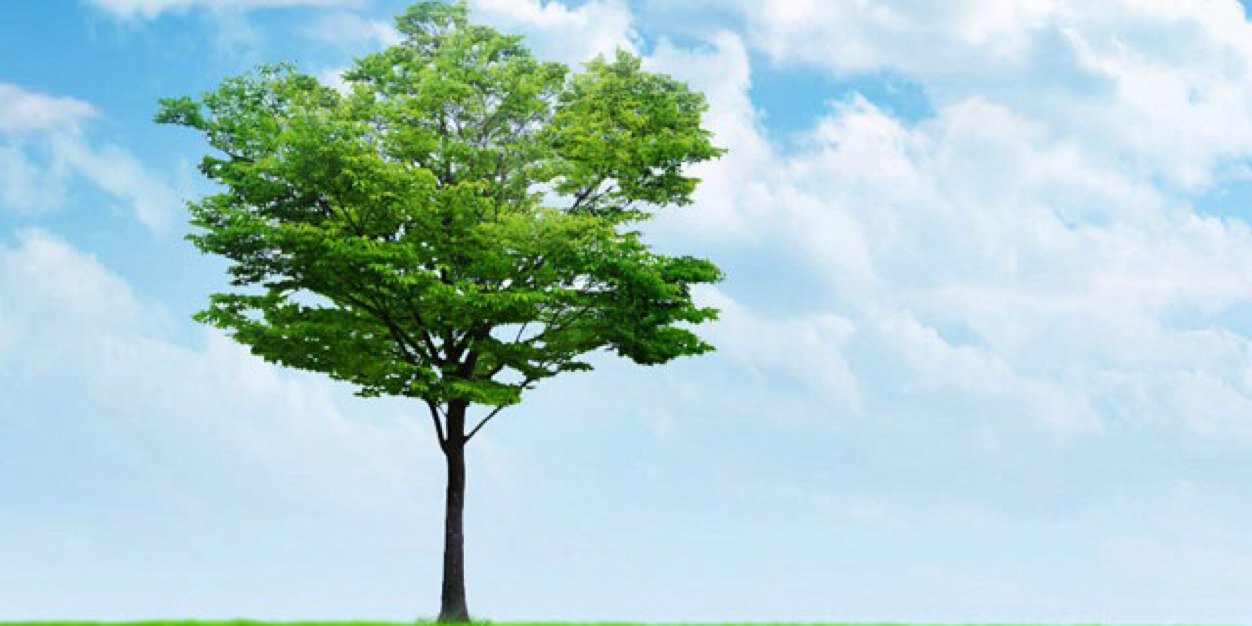 ekaputraa05's profile banner image