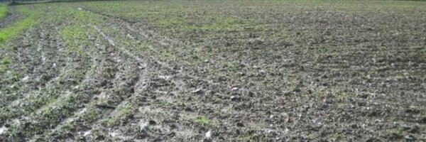 PauGener Profile Banner