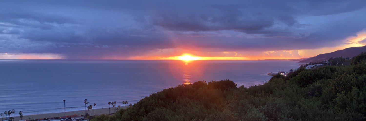 Lee Jay Berman banner