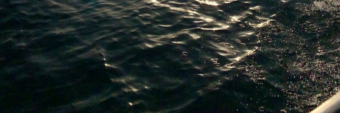 wejrafie's profile banner image