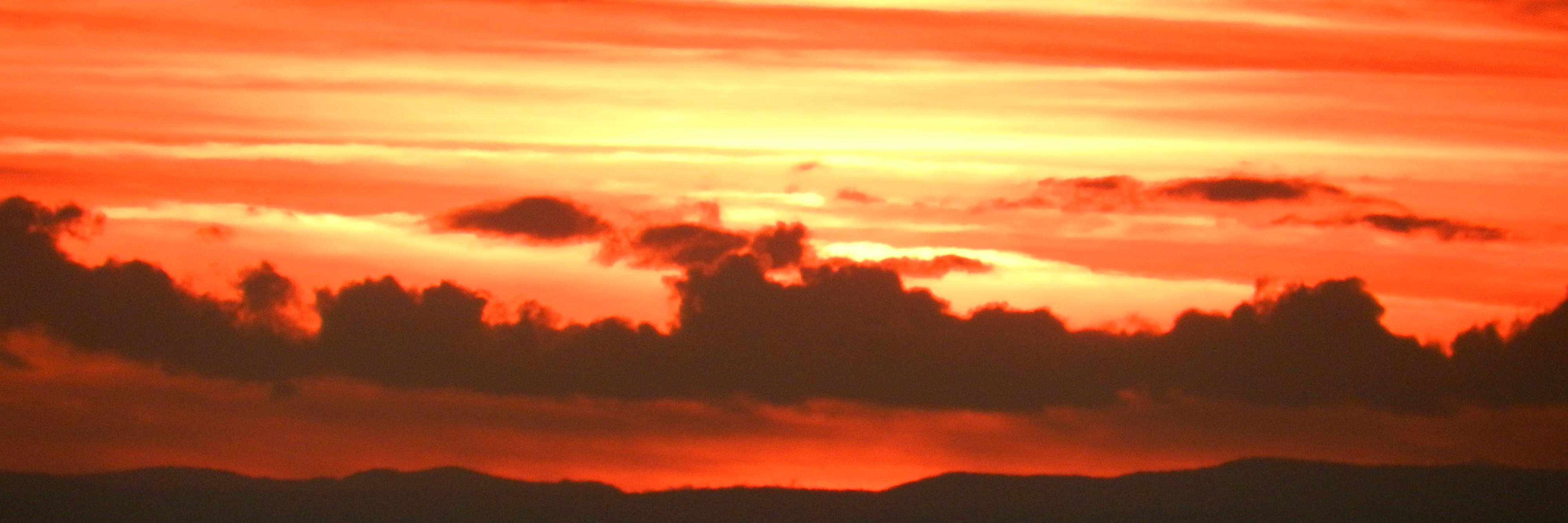 Rev_Dawg's profile banner image