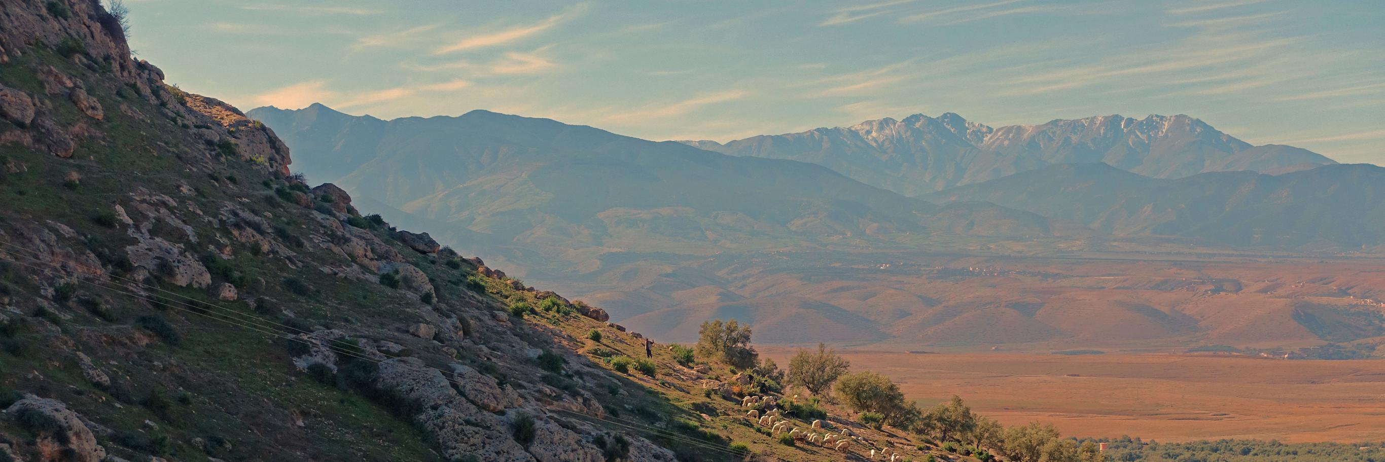 Andy Lattimore banner