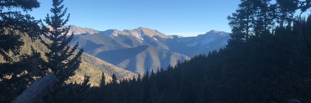 Dimitri Collins-Elder banner