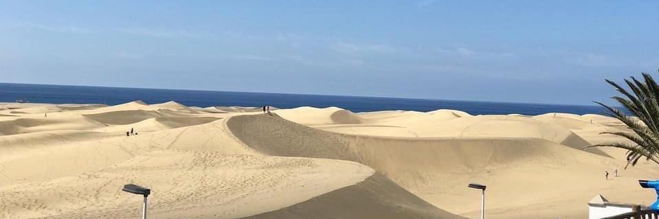 Ramón Suárez Ojeda banner