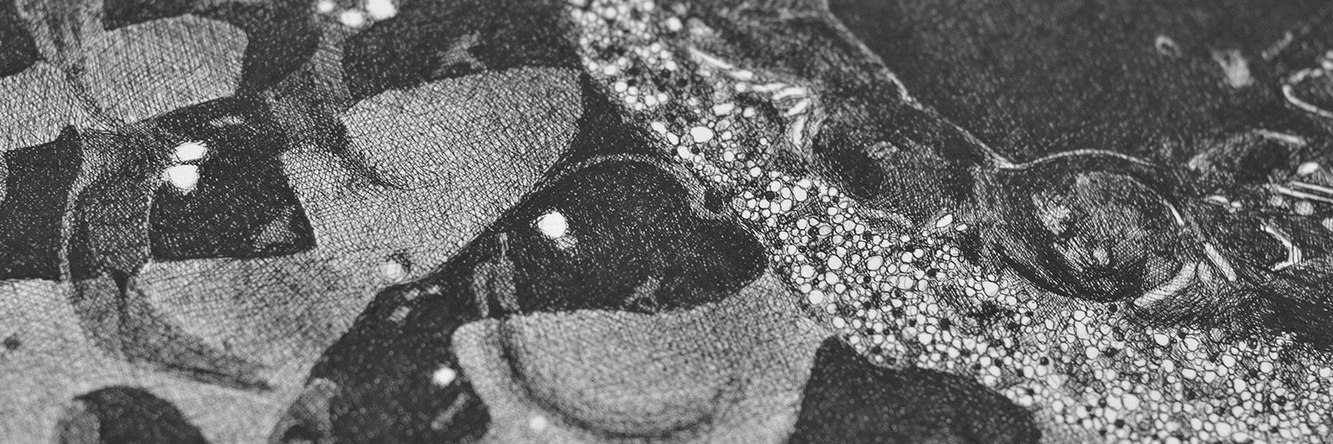 Andy Nason Art banner