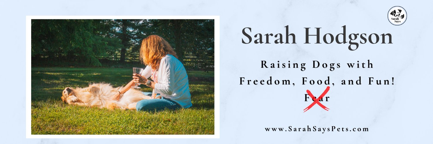 Sarah Hodgson banner