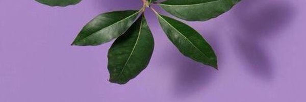 ballogy Profile Banner