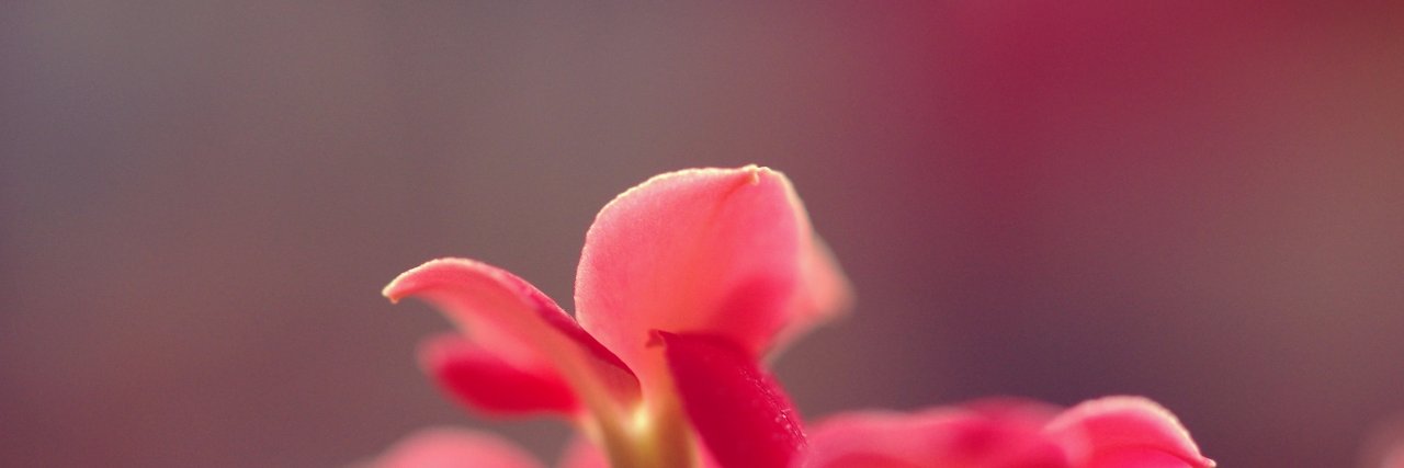 Юлия Марселас banner