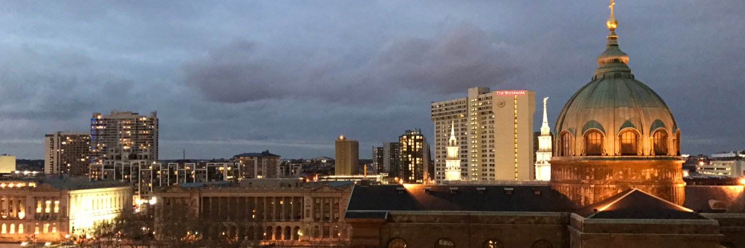 Maryann Molishus banner