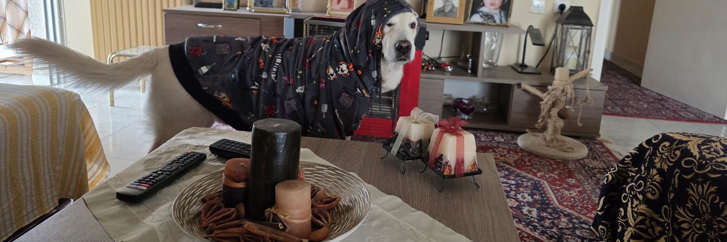 CoinToxicated banner