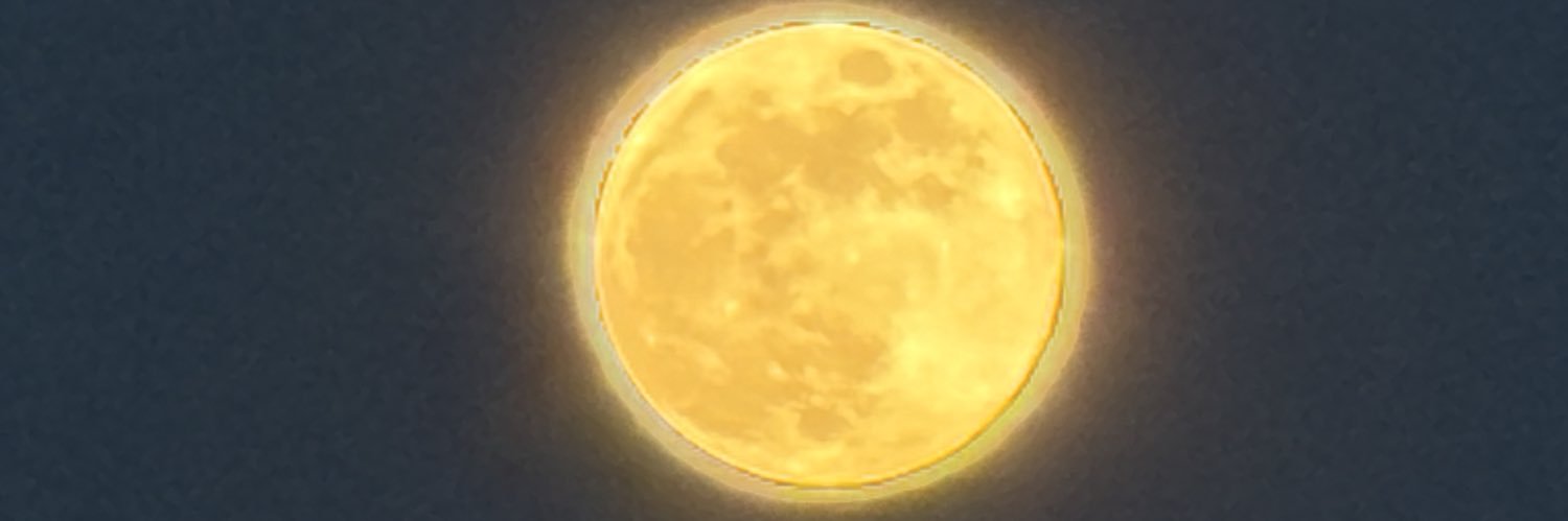 arikancan's profile banner image
