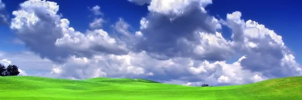 RanWishko's profile banner image