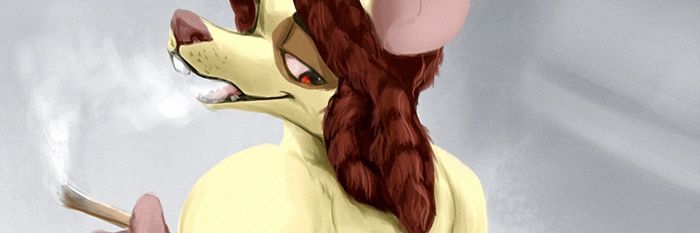 BombaOtta's profile banner image