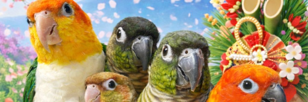 nelhouse's profile banner image