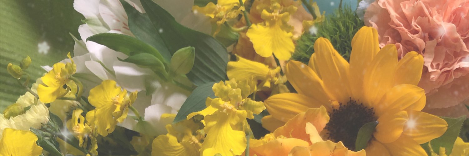 Sh_Hi_Tr_'s profile banner image