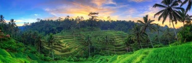 Java 🏝 banner