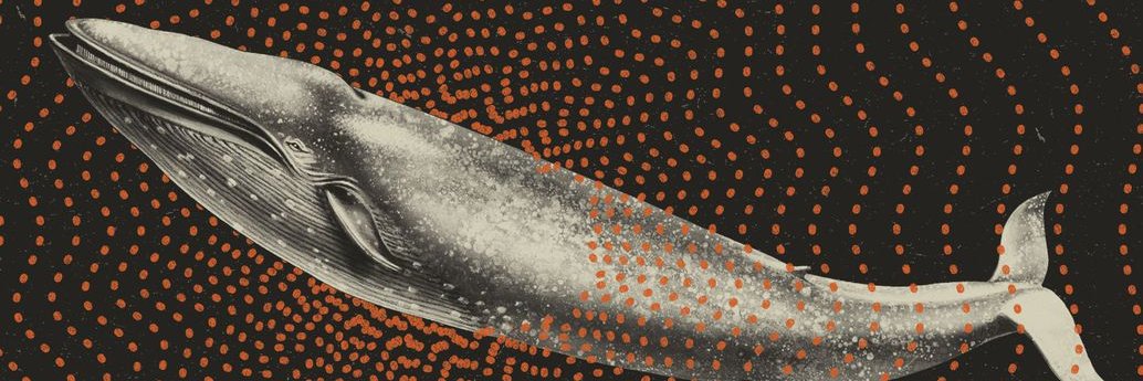 Сэцэн Батмөнх banner