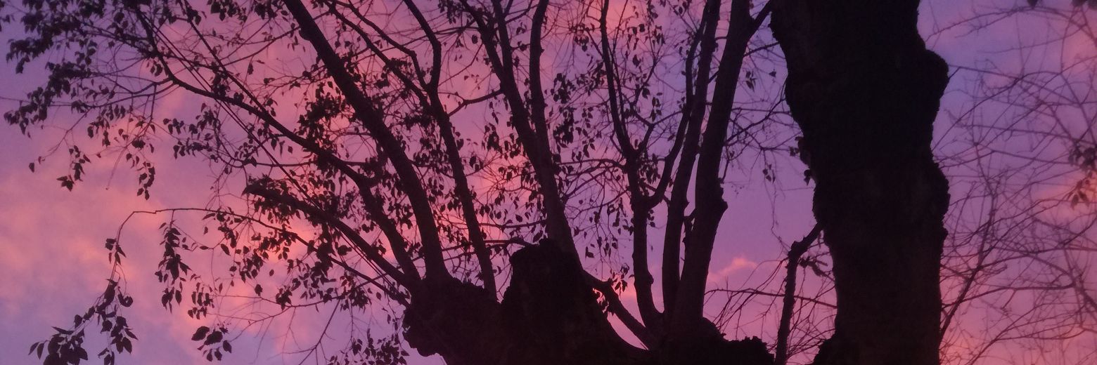 wickedself's profile banner image