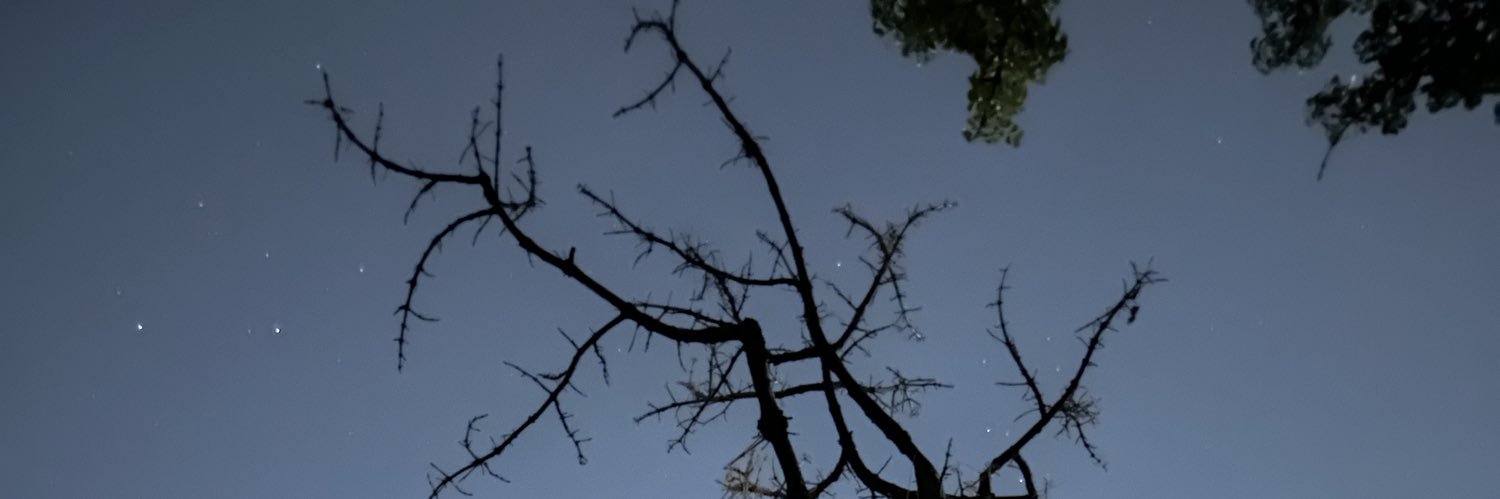 hwarel's profile banner image