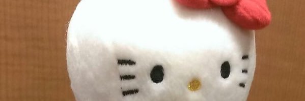 きゃのそる banner