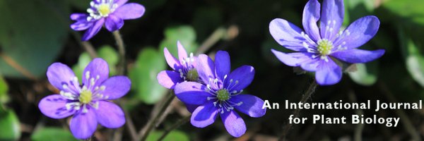 PPLplantarum Profile Banner