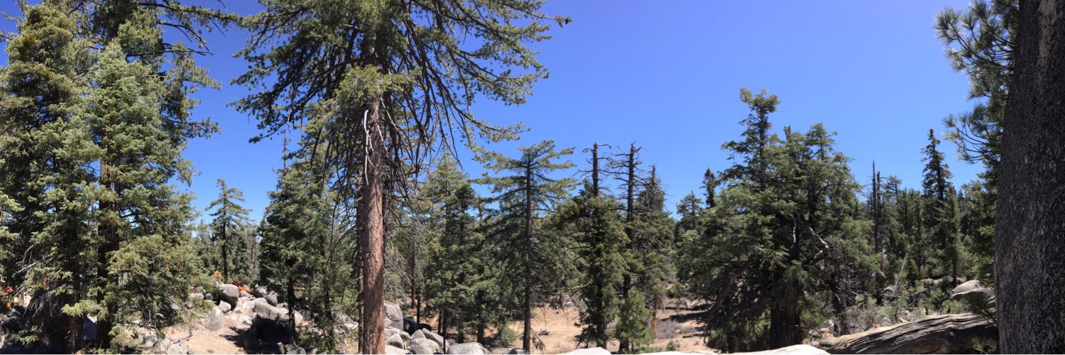 daniees19's profile banner image