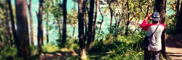 mthmunir's profile banner image