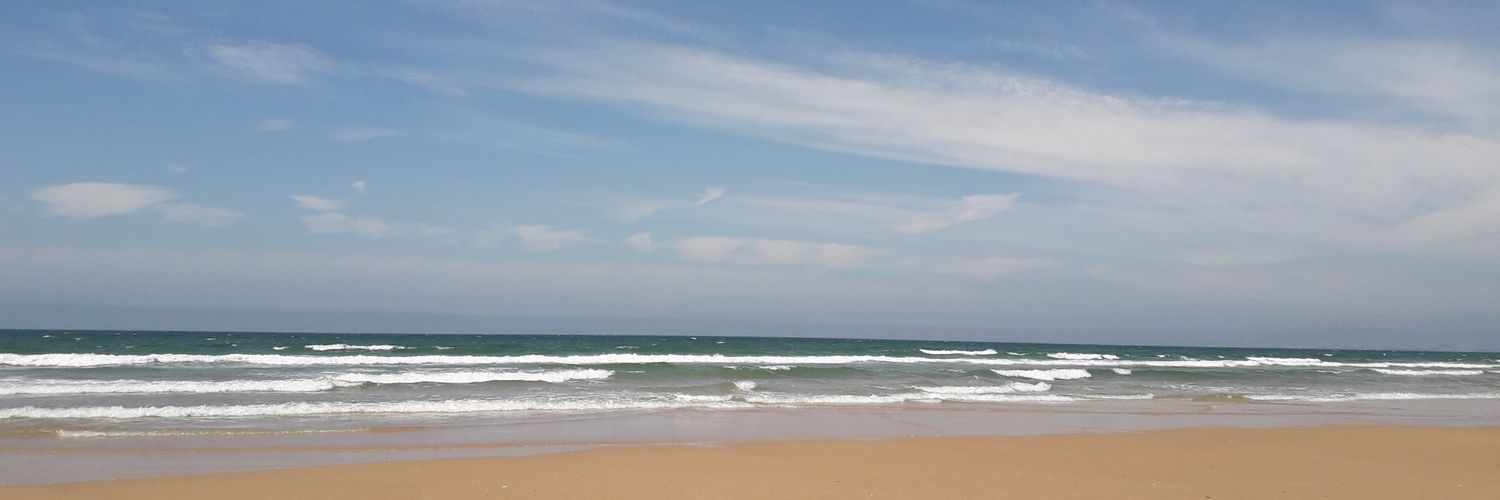 Alex_Sanfins's profile banner image