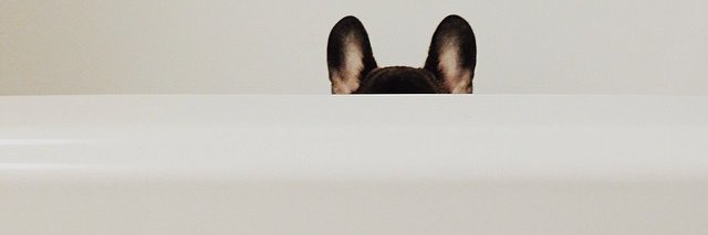 Jordan O'Neil banner