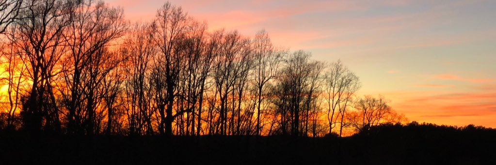 des_dej's profile banner image