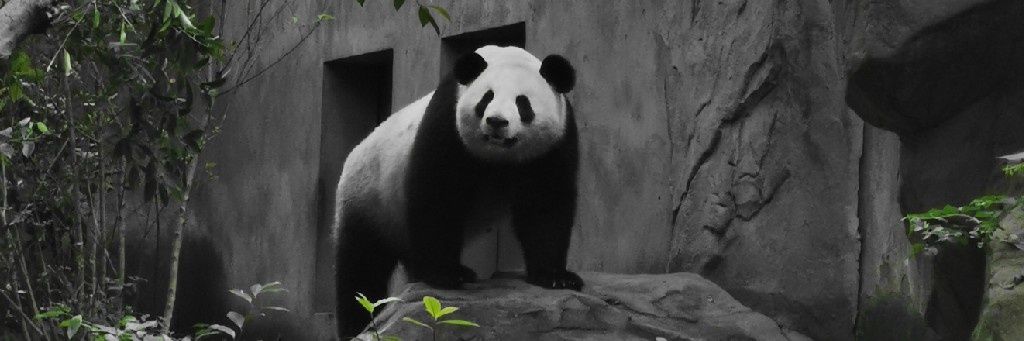 lezhou1's profile banner image