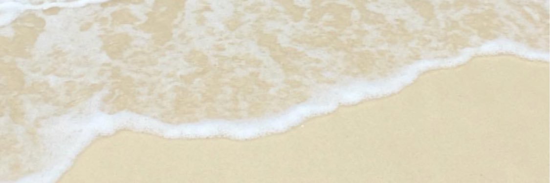 ぷりん banner