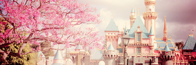 CeciBlanc's profile banner image