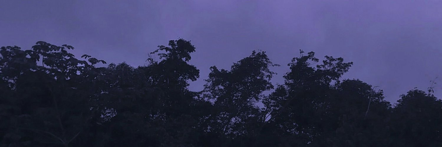 NikkiMiller_02's profile banner image