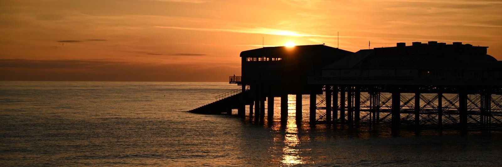 Shelly Pritchard banner