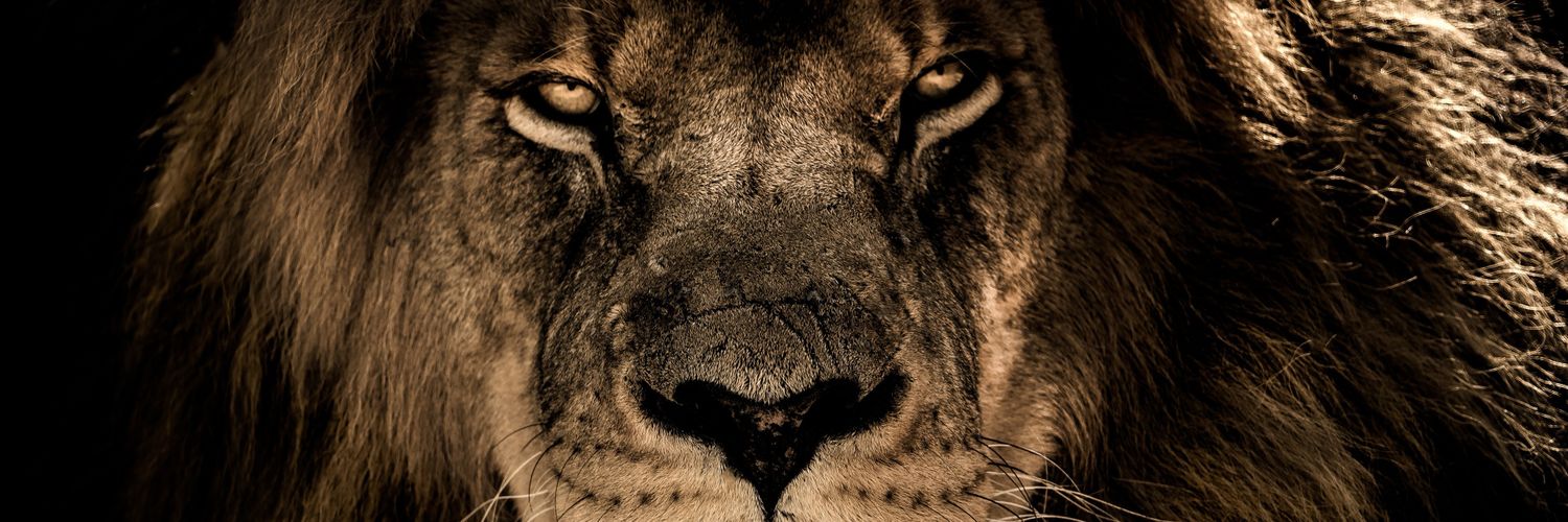 michaelegdberto's profile banner image