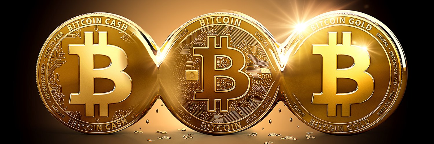 CryptoProfitCoach™ banner