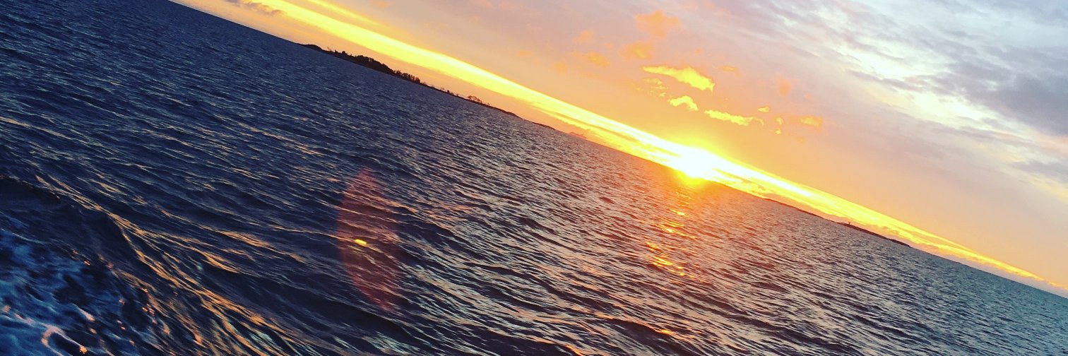 oniT2k's profile banner image