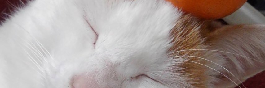 hikoboshi02's profile banner image