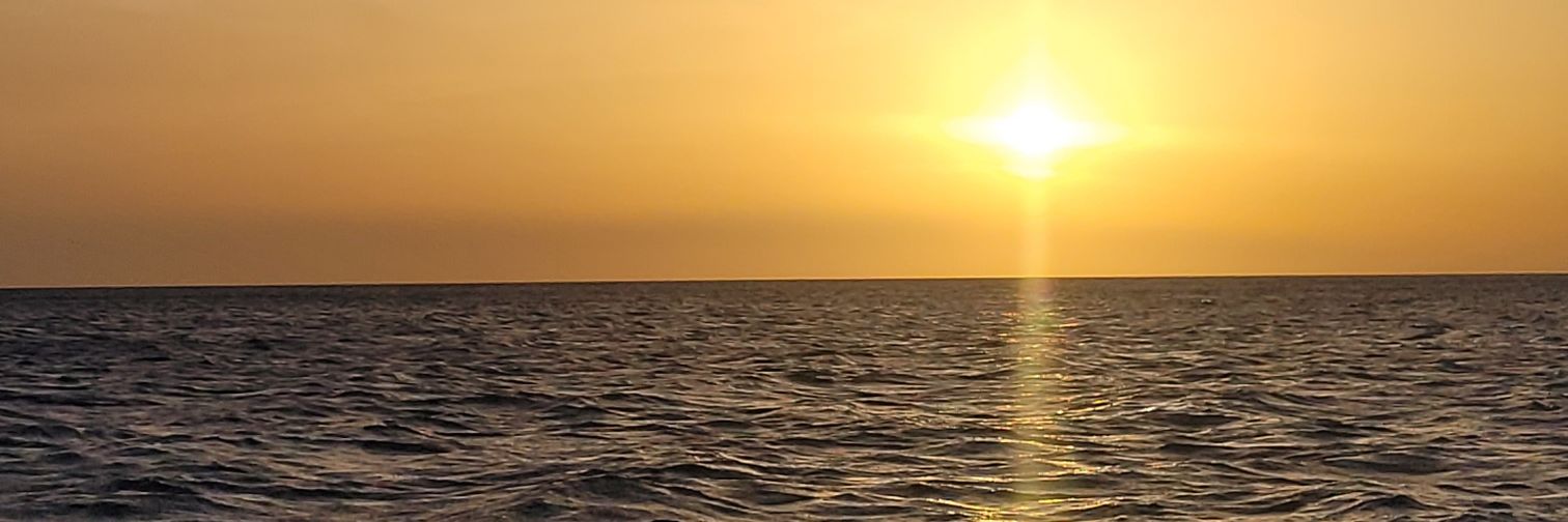 Jody Alston Sykes banner