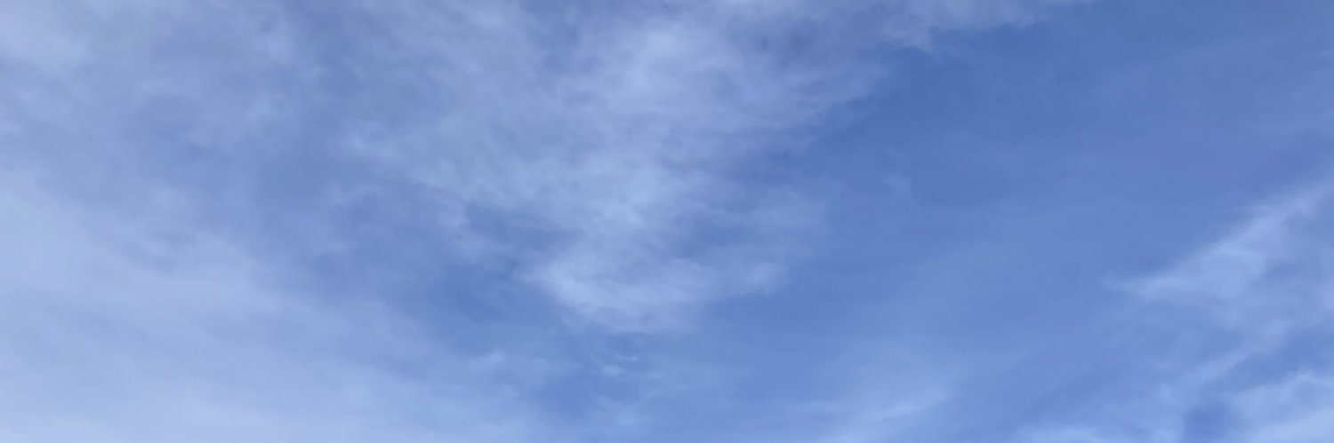 pilicamara's profile banner image