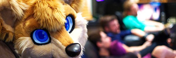 JetDingo Profile Banner