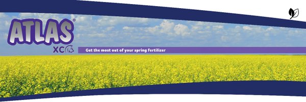 LovelandCDN Profile Banner