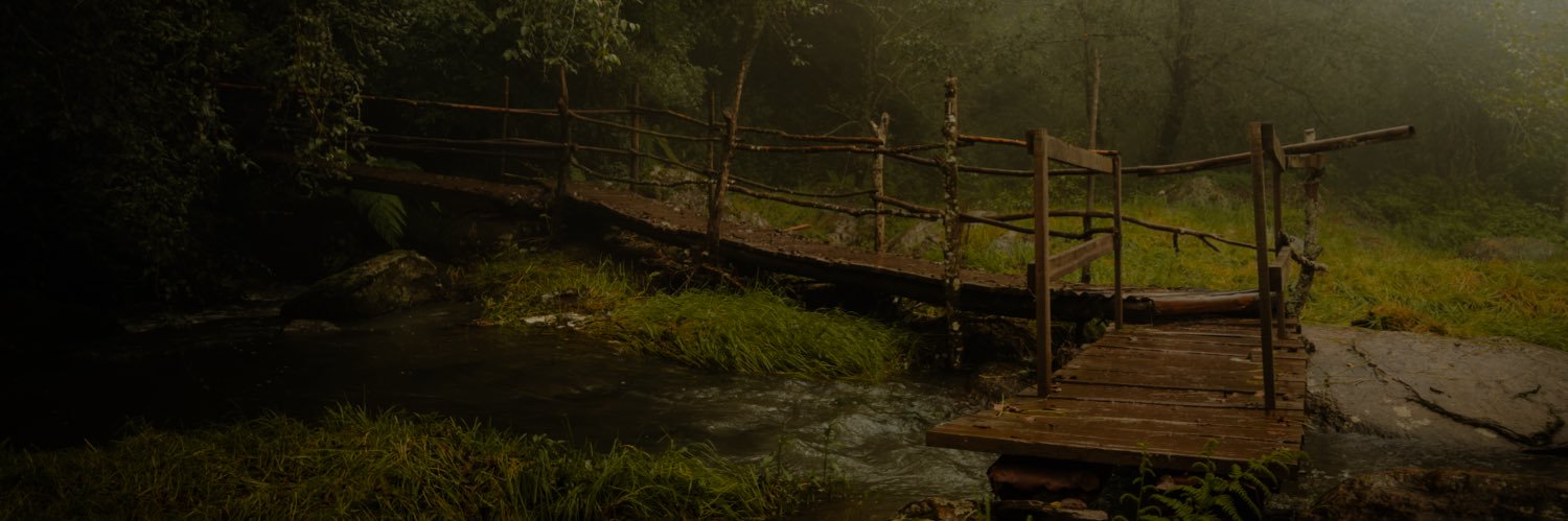 gerbervaz's profile banner image