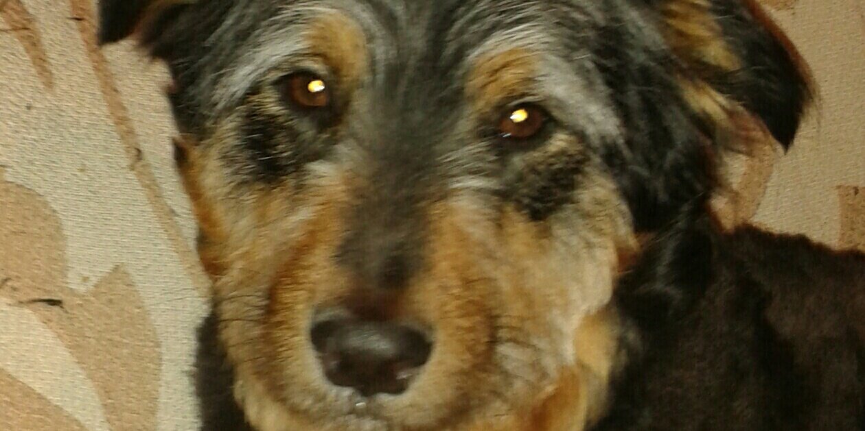 bertillo7's profile banner image
