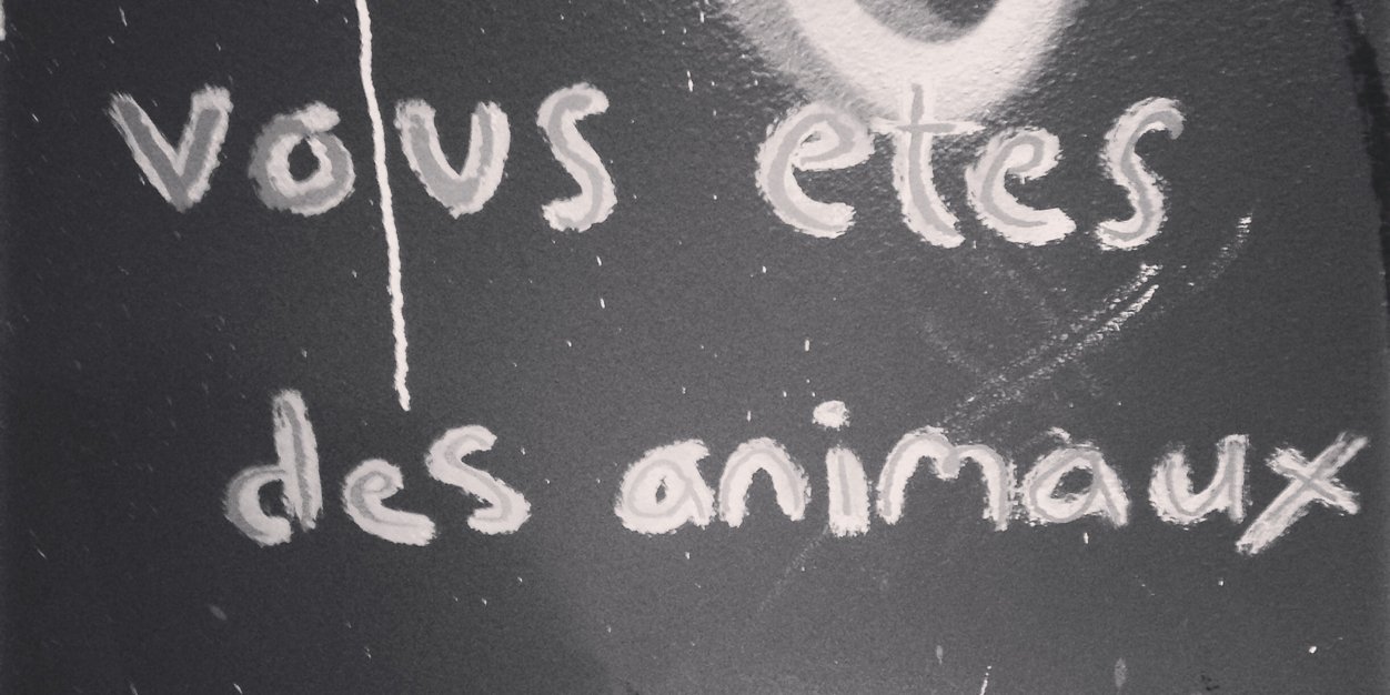 Martell Webster banner