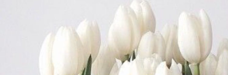 dhevyDPA's profile banner image