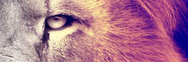 PHŒNIX 🇧🇫🇬🇳 banner