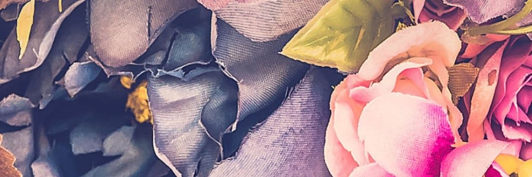 amandefernandes's profile banner image