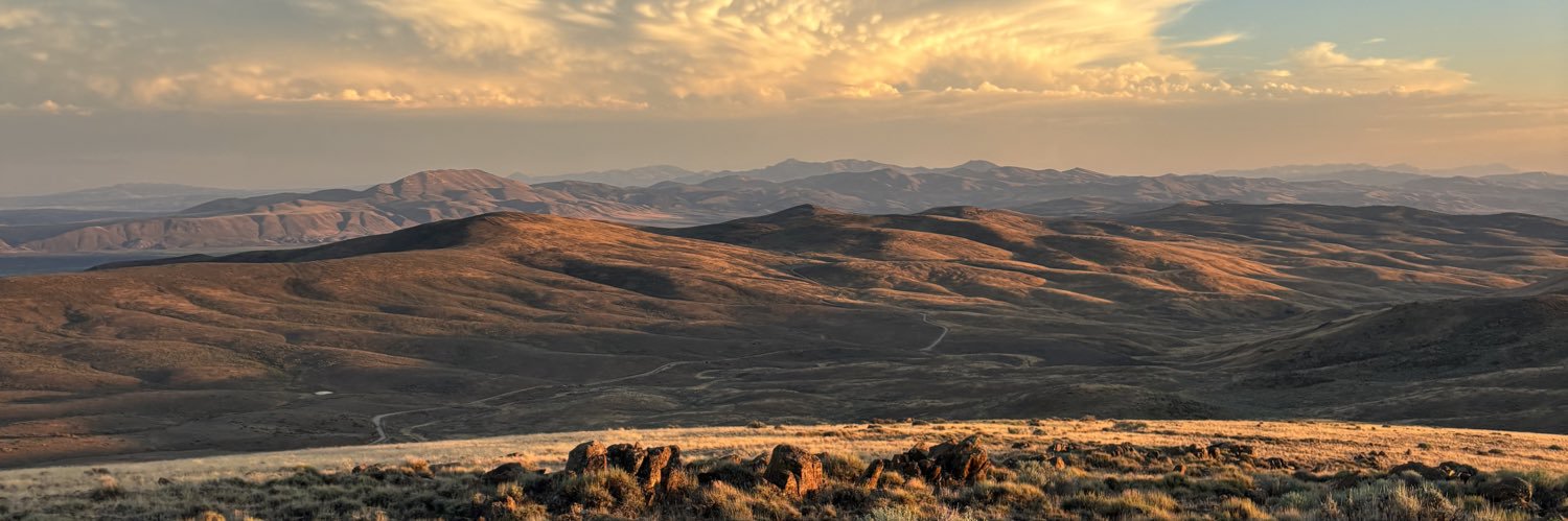 Taylor R. Avery banner